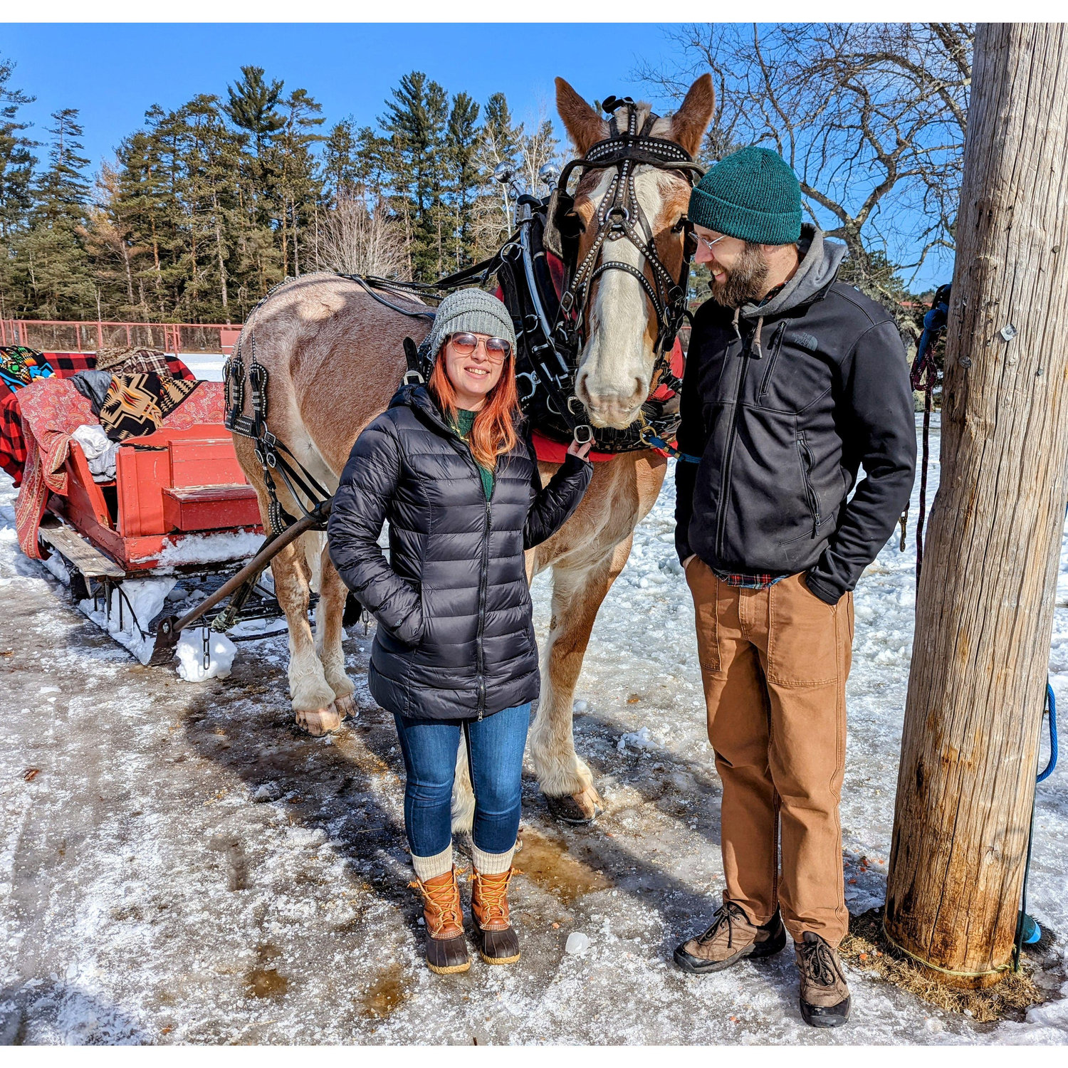 Lincoln, NH timeshare trip. Sleigh ride! 2/13/2022