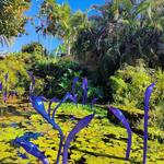 Fairchild Gardens