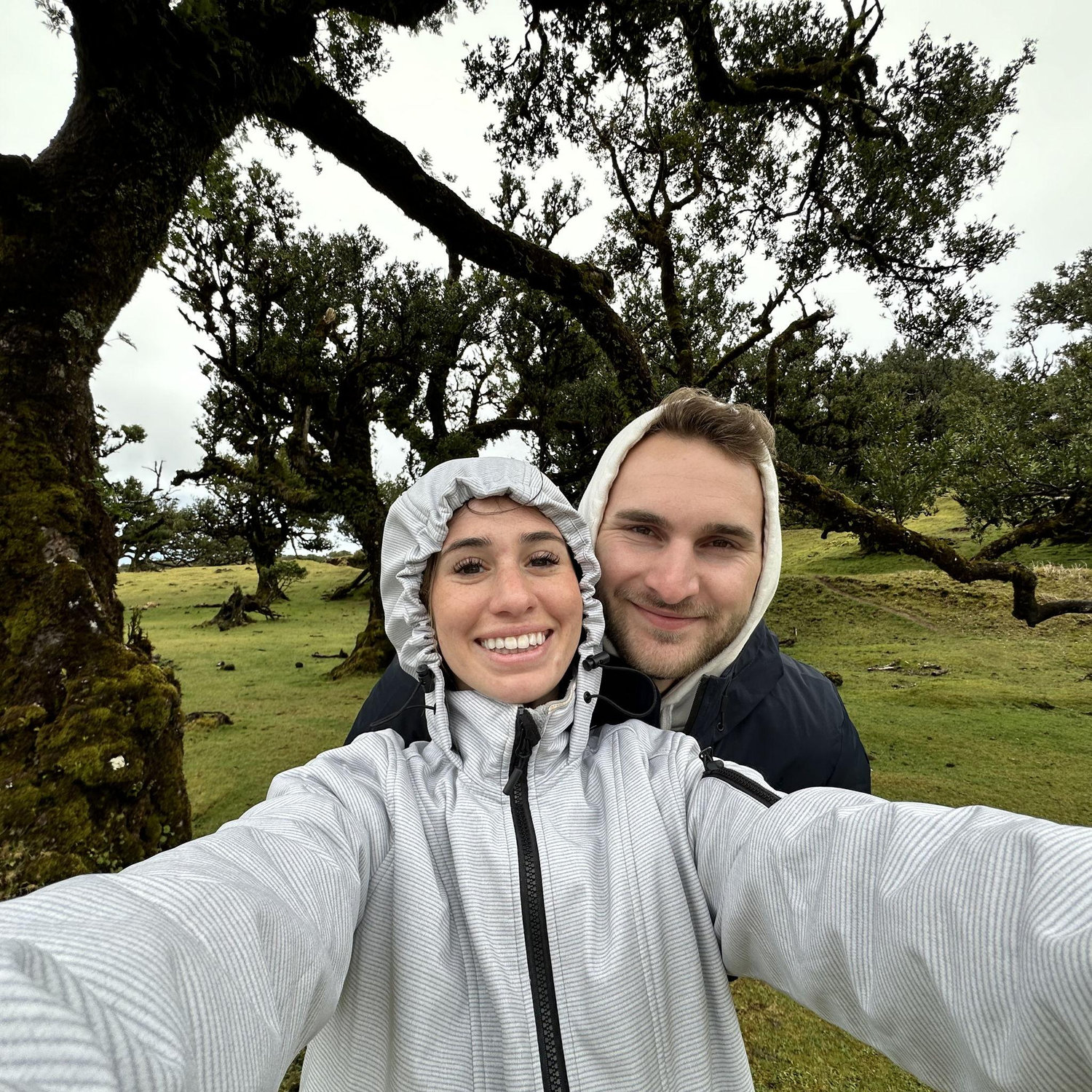 A foggy, rainy Fanal Forest day!