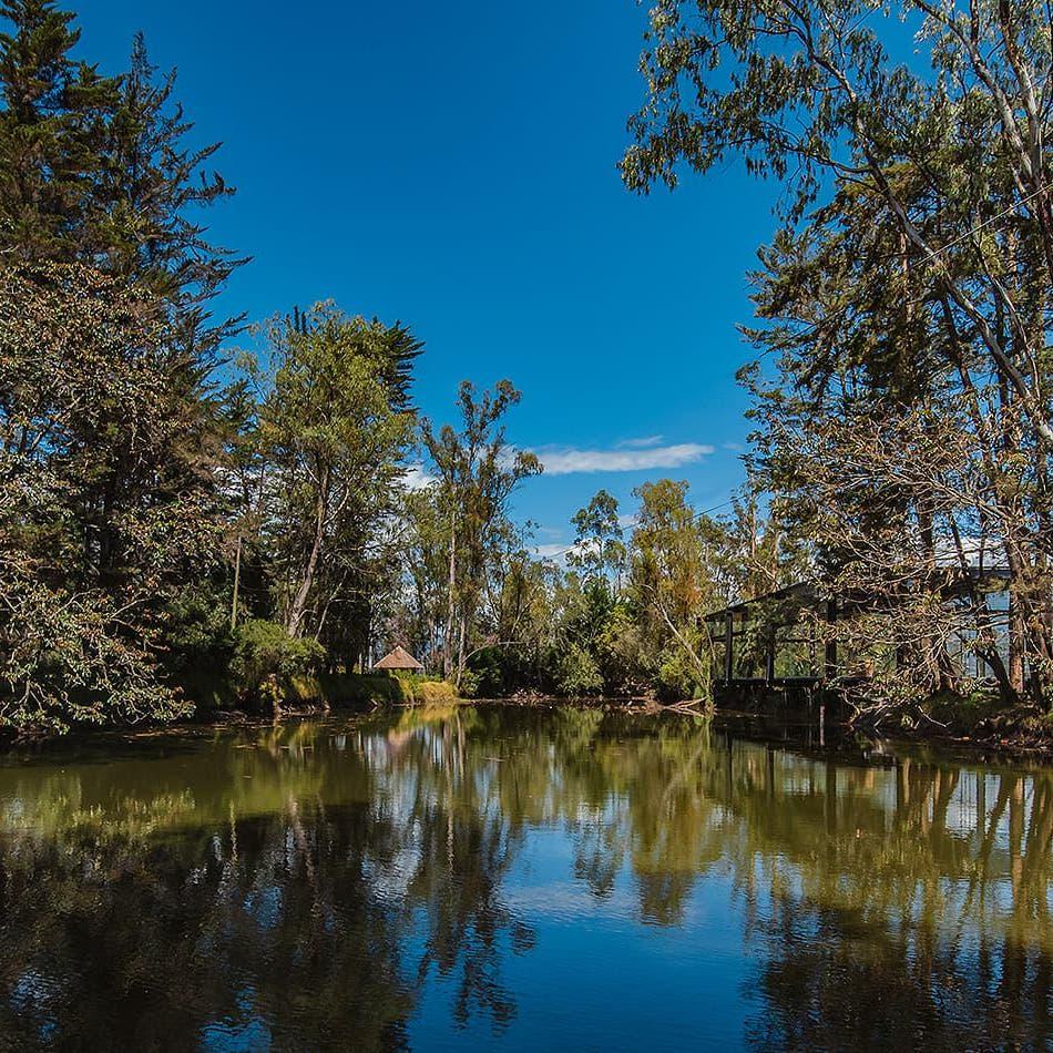 La Palma Polo CLub - Lake in the property