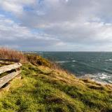 Finlayson Point / Dallas Road