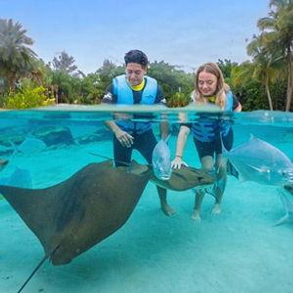 A Day at Discovery Cove