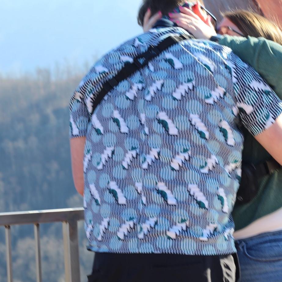 Engaged in Gatlinburg! 02/03/2024