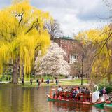 Boston Public Gardens