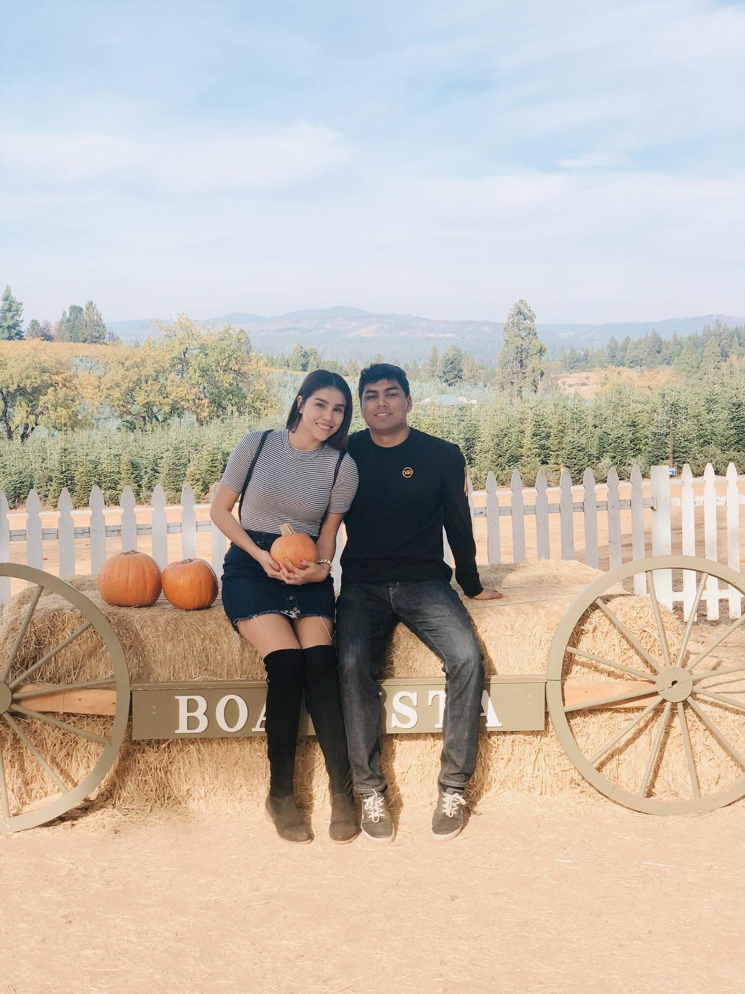 Apple Hill