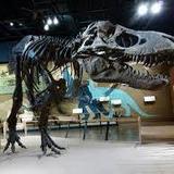 Cleveland Museum of Natural History