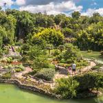 Japanese Tea Garden