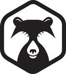 Shy Bear Brewing