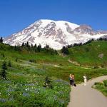 Skyline Loop Trail