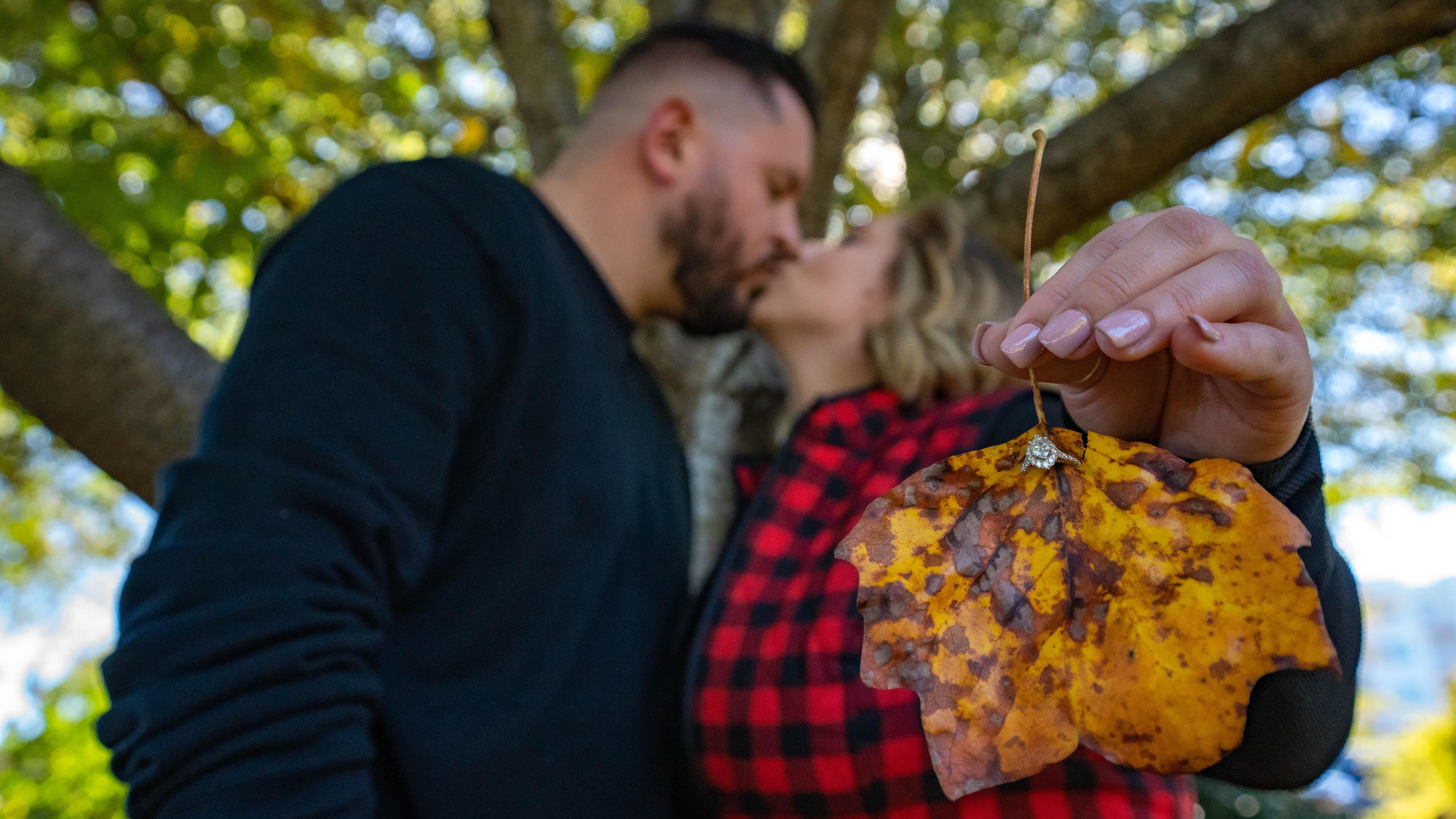 The Wedding Website of Shelby Materne and Brian Hahn