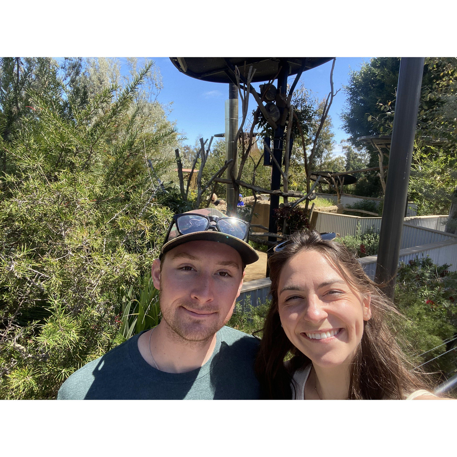 Our trip to the San Diego Zoo