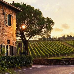 A Vineyard Stay We’ll Never Forget