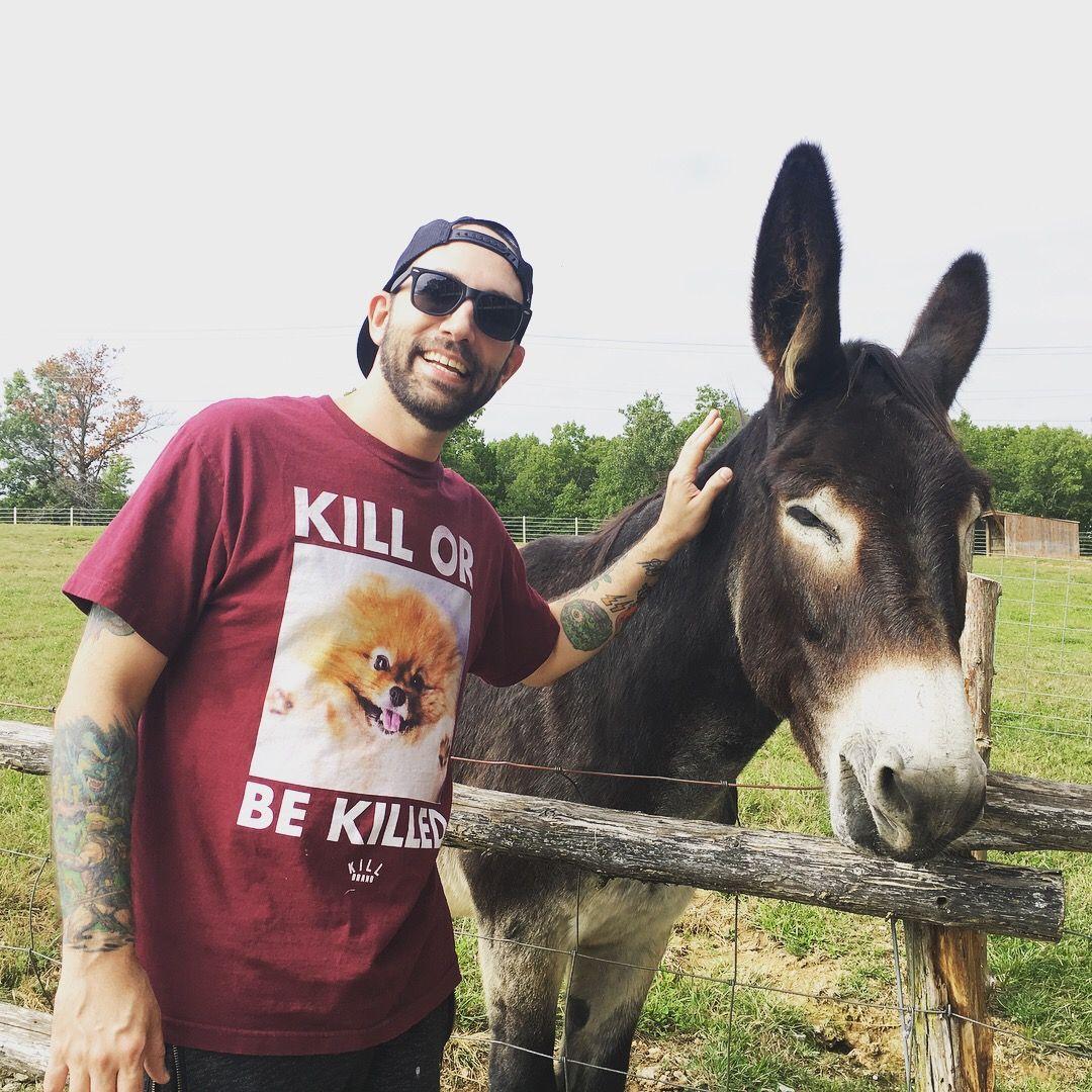 You should know that we love all things animals.