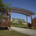 Fox Run Vineyards