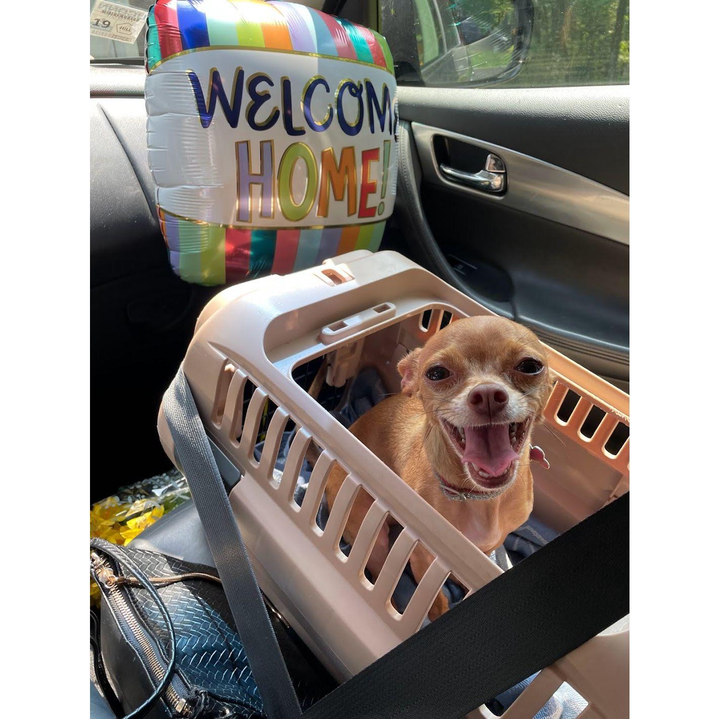 All smiles on the way to pick up Vincent from the airport