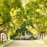 St. Supéry Estate Vineyards & Winery