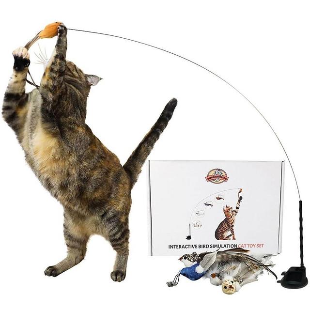 Whiskertons Interactive Bird Simulation Cat Toy Set, Cat Wand Toy with Self-Holding Suction Base, 5 Replacement Birds with Feathers & Bells, Realistic Bird Impression