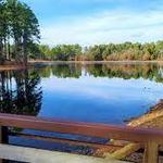 Faulkner Park
