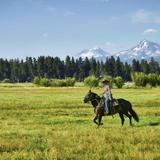 Black Butte Stables