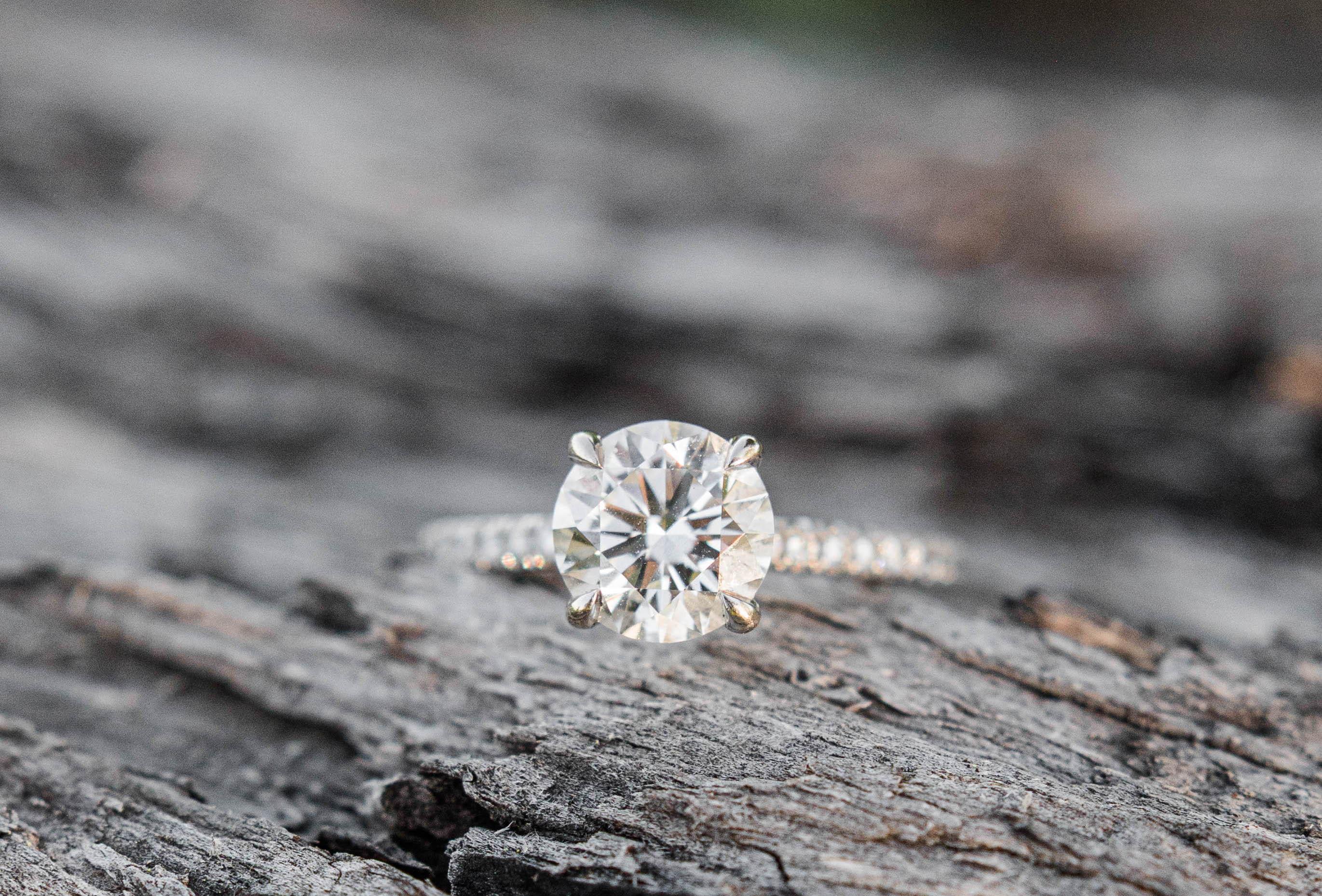 The Wedding Website of Sam Beau and Jackson Moody