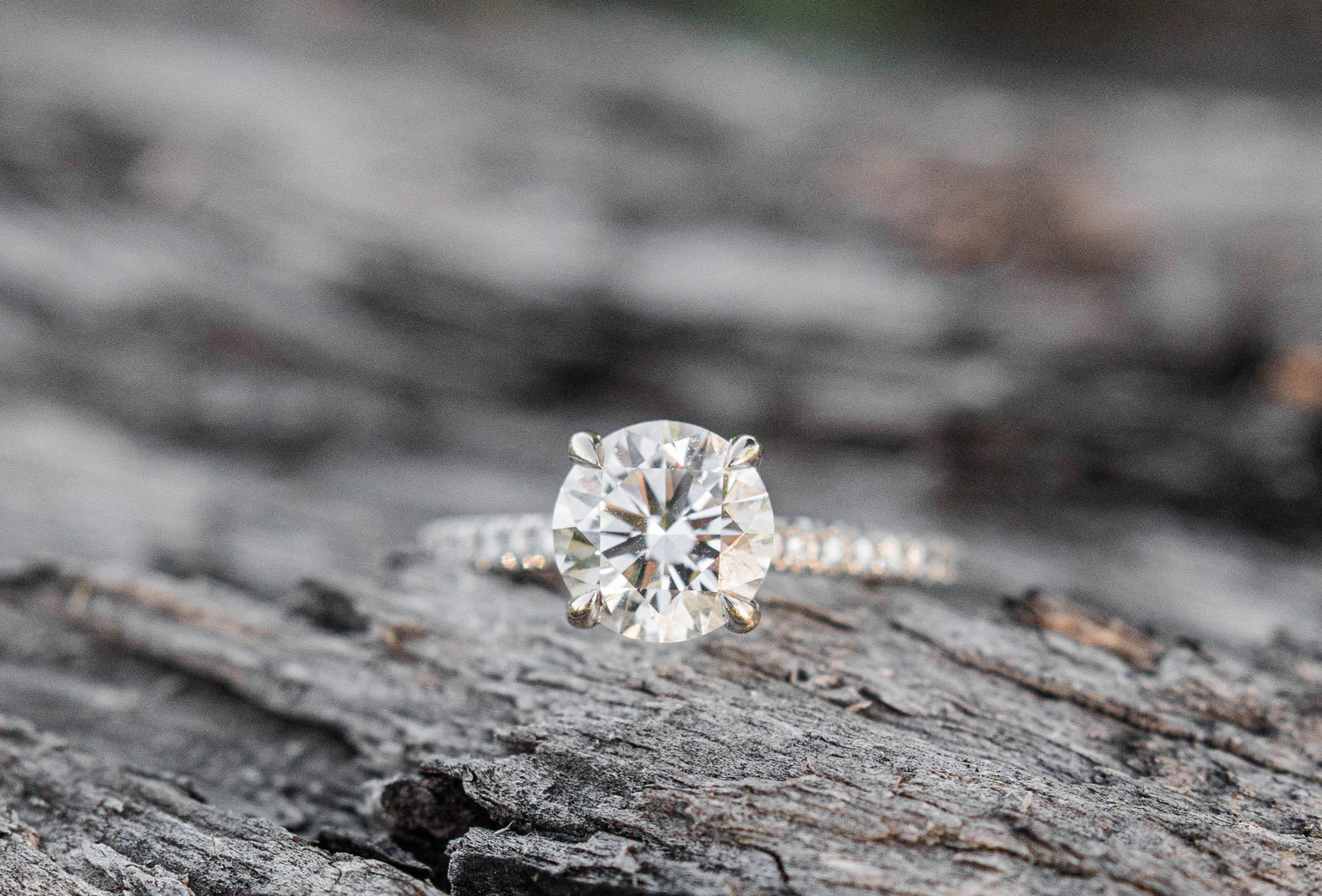 The Wedding Website of Sam Beau and Jackson Moody