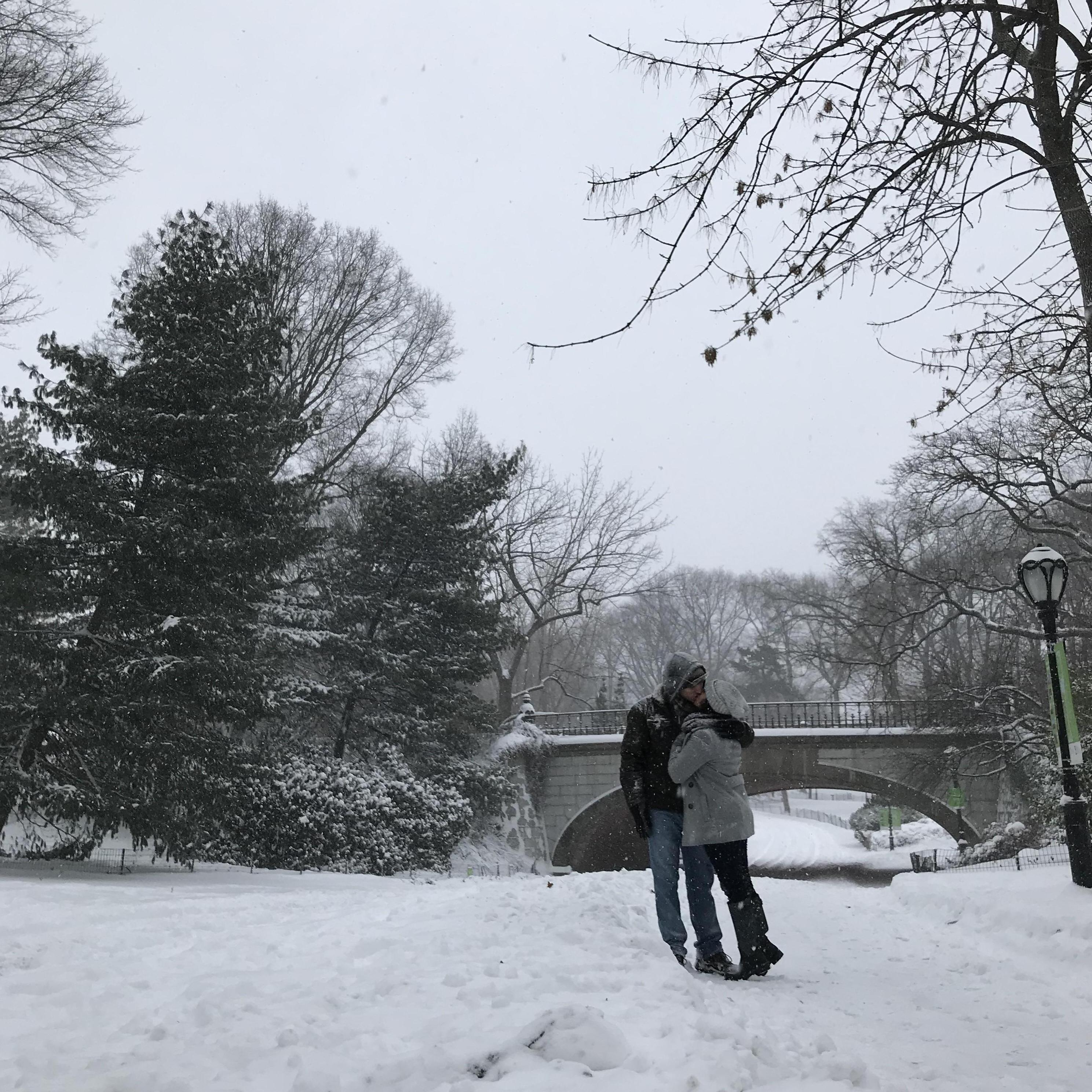 Central Park
New York 2018