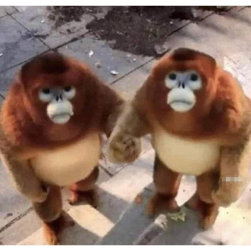 That time we were both monkeys