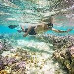 Hanauma Bay Nature Park