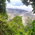 Darien National Park