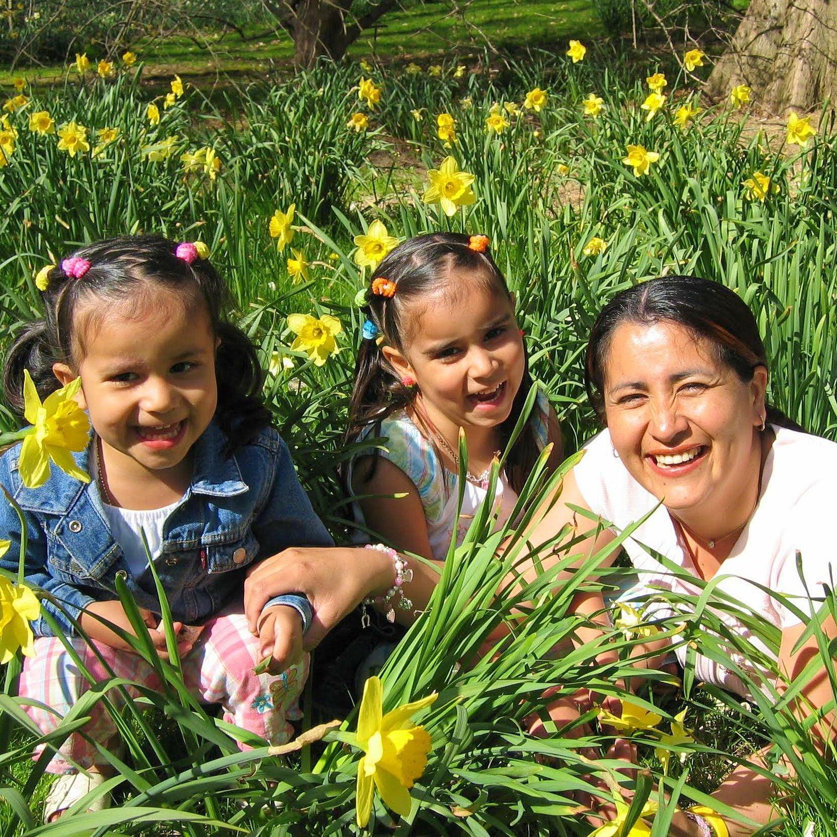 Flores entre flores!