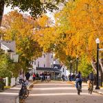 Bike around the island!
