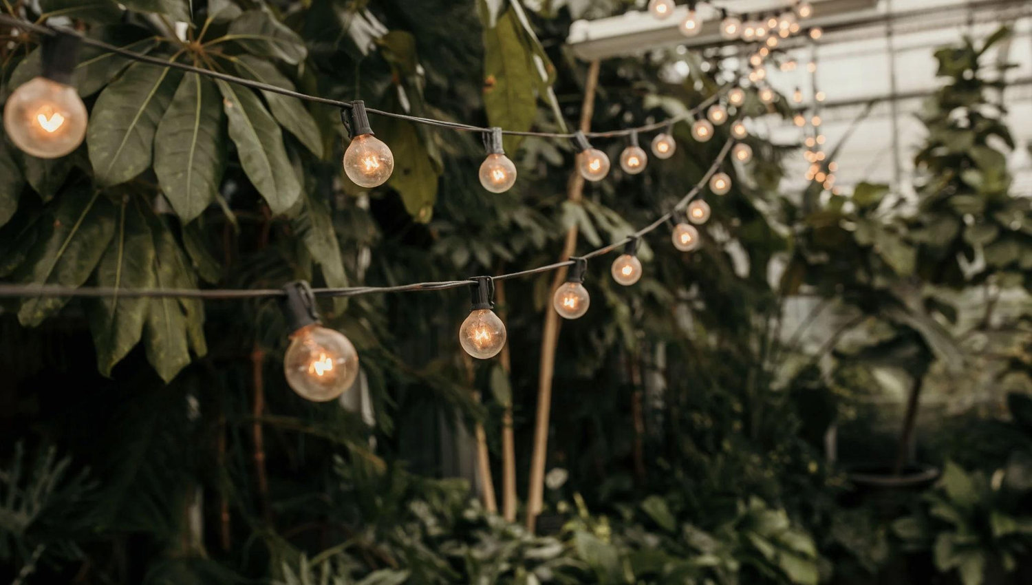 The Wedding Website of Jillian Konyndyk and Michael Thorsen