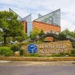 Tennessee Aquarium