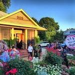 Vin 909 Winecafe'