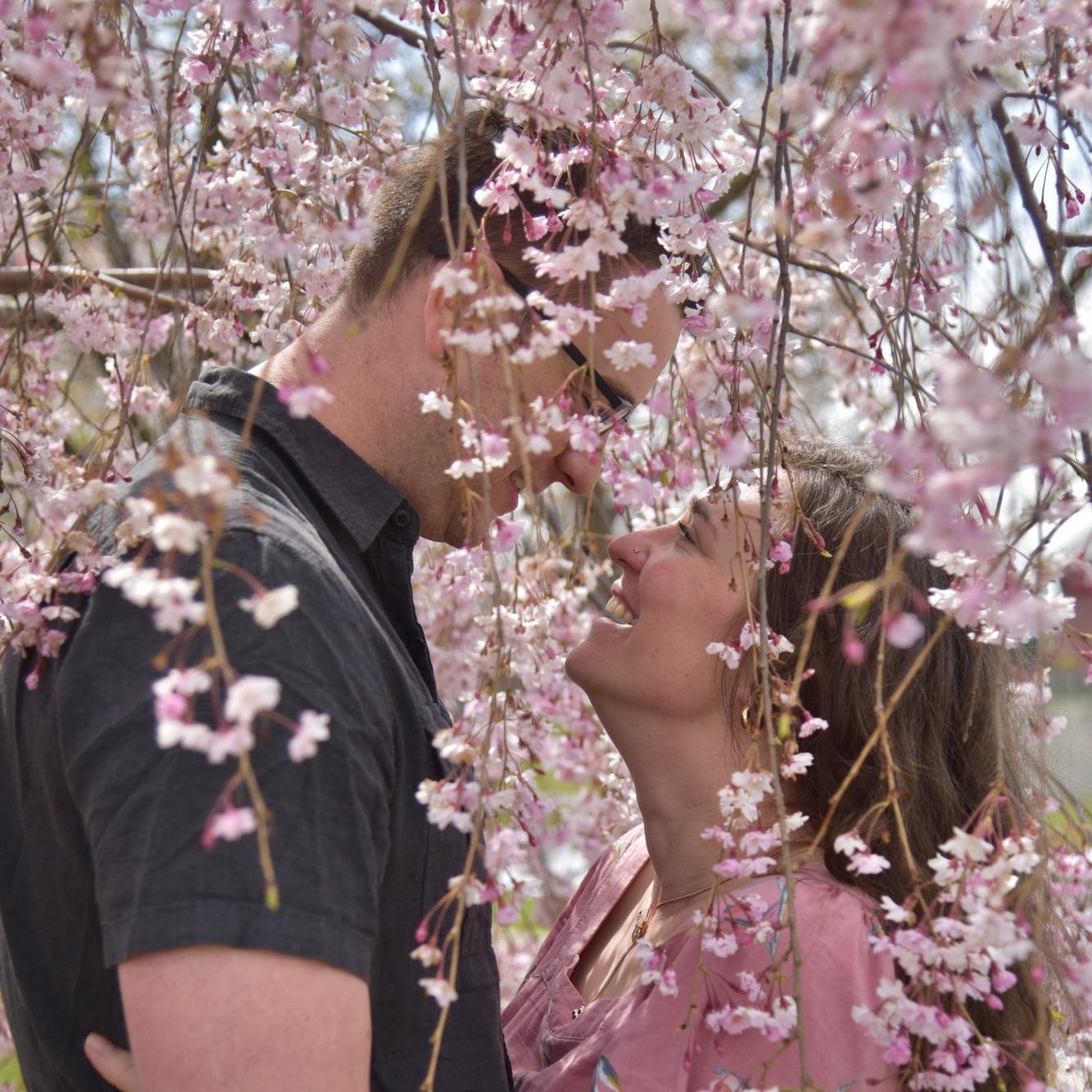 Tangled Up In Bloom 🌸