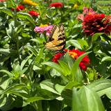 Melick's Town Farm - Farm Market