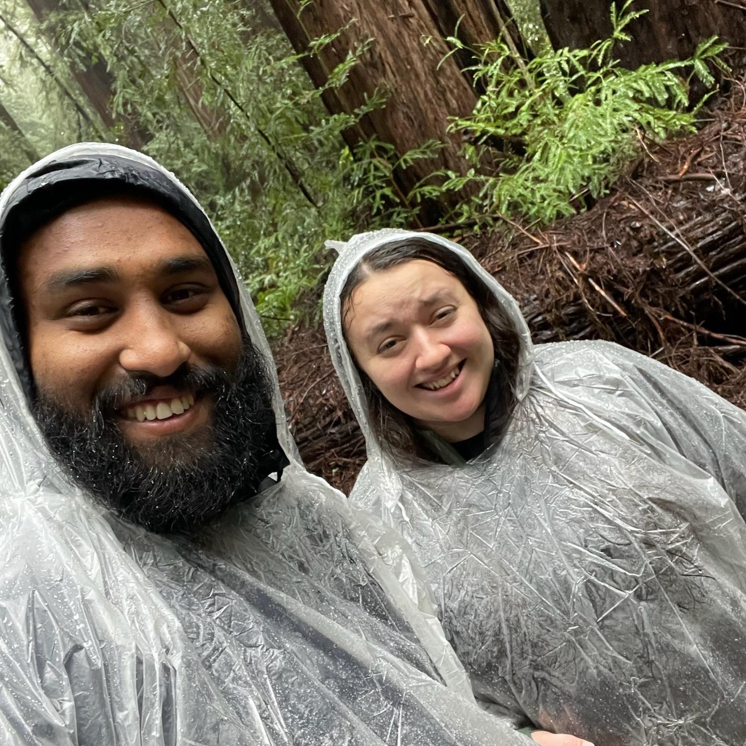Hike in Rain in the Redwoods