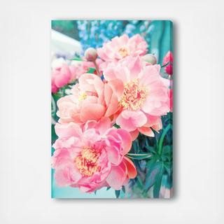 Open Peonies Canvas Art