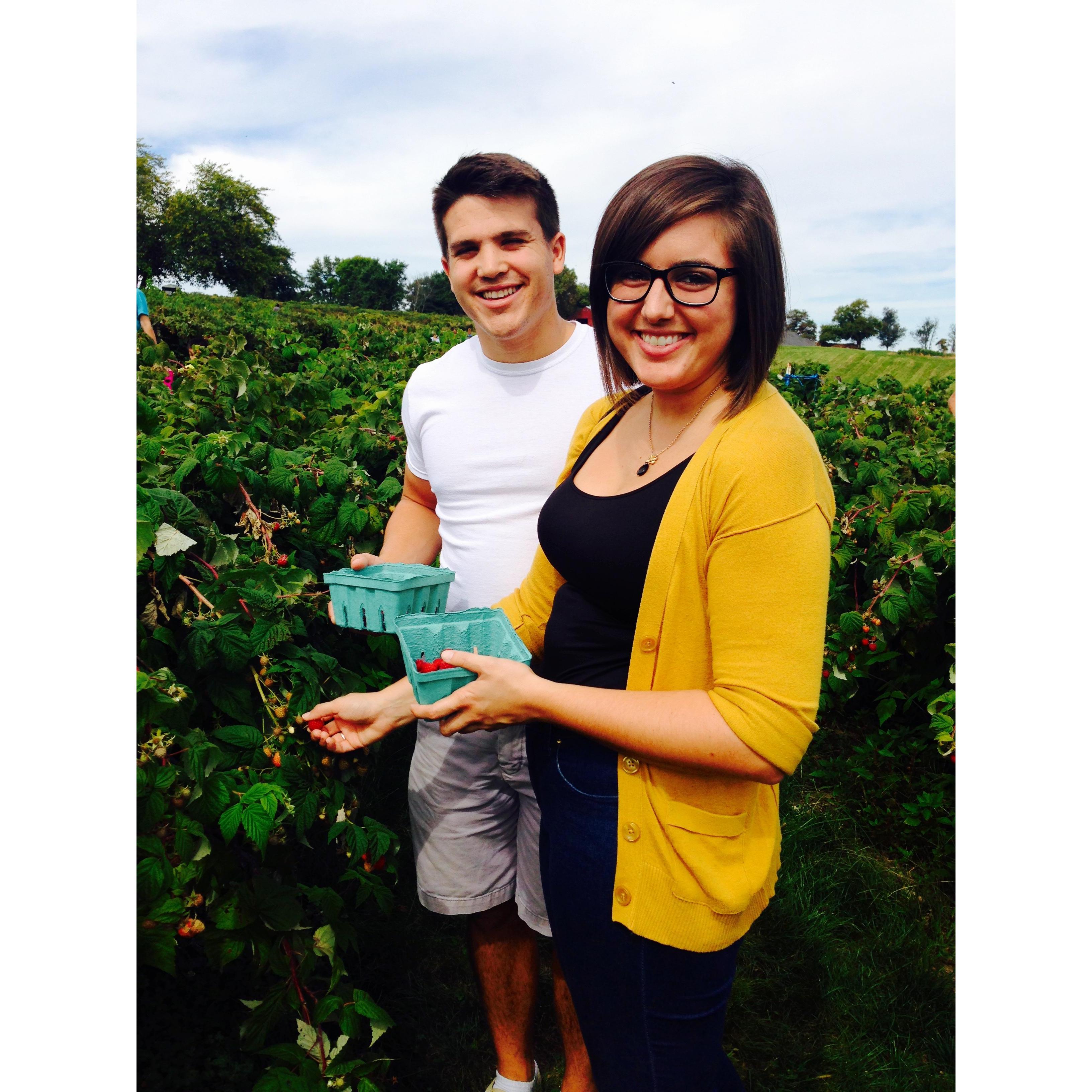 Berry picking outside DC