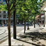 Northwest Portland/Pearl District