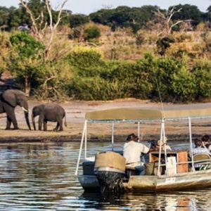 Honeymoon - River Safari (Zambia)