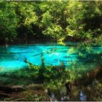 Emerald Pool & Hot Springs