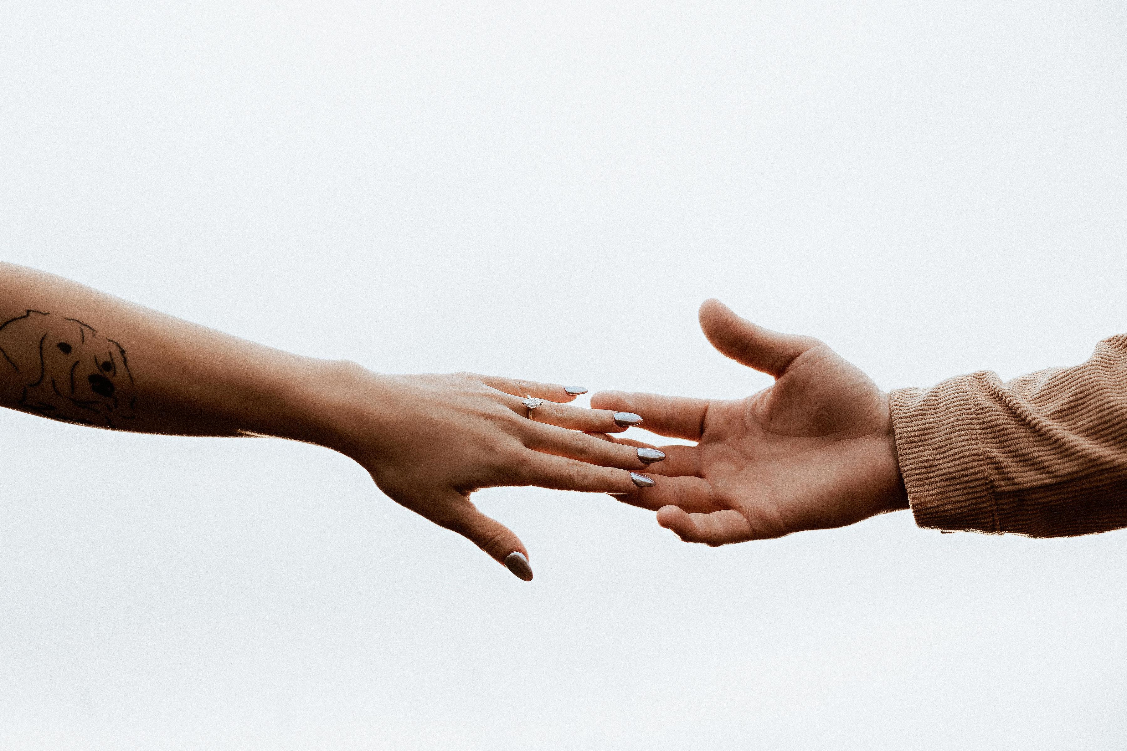 The Wedding Website of abigail Melissa VanderBloomen and colton warren harrington