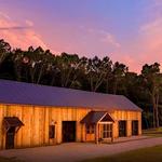 Explore locally brewed beer at Hops on the Hill Brewery