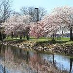 Charles River Esplanade