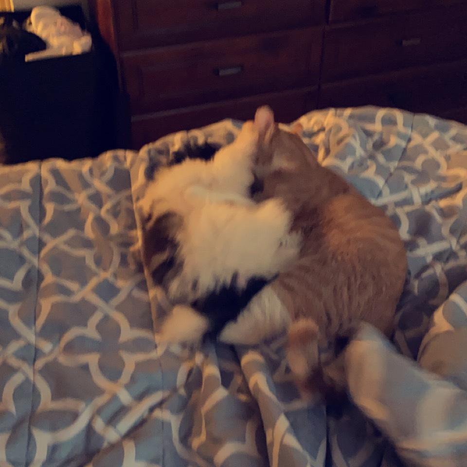 We think they’re bonding?
March 23th, 2021