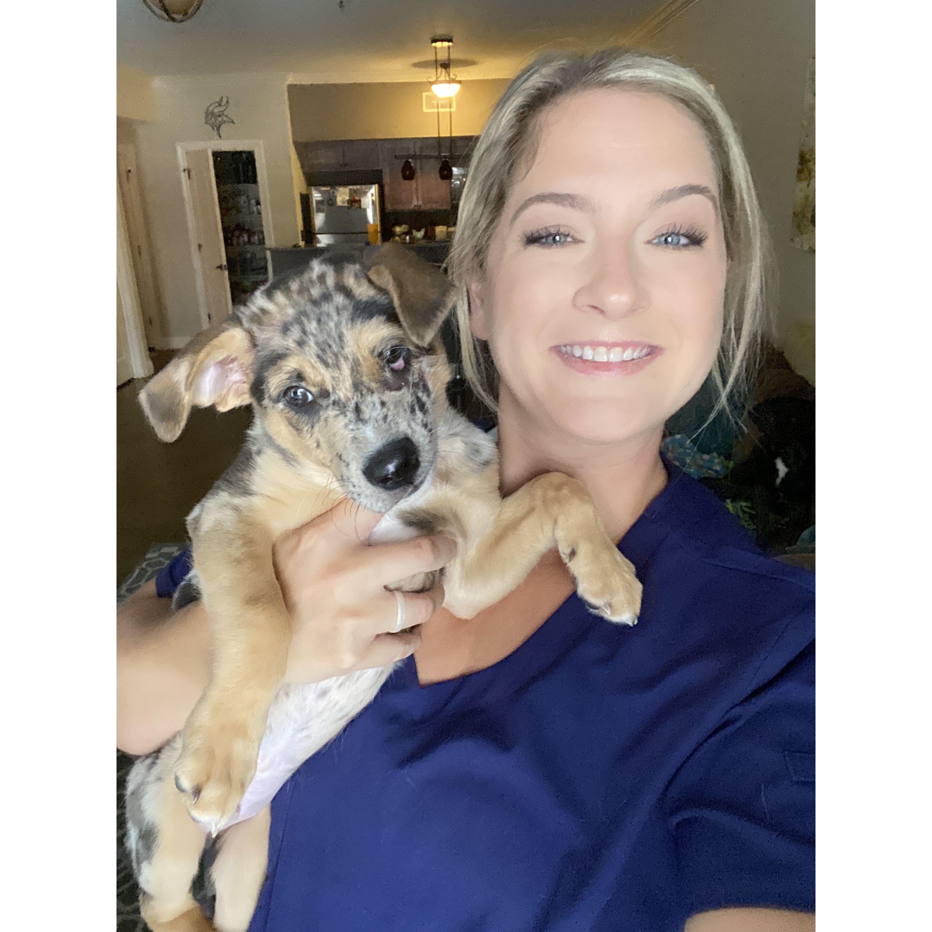 Our last day with Denver before he went to his forever home