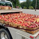 Watauga County Farmer’s Market
