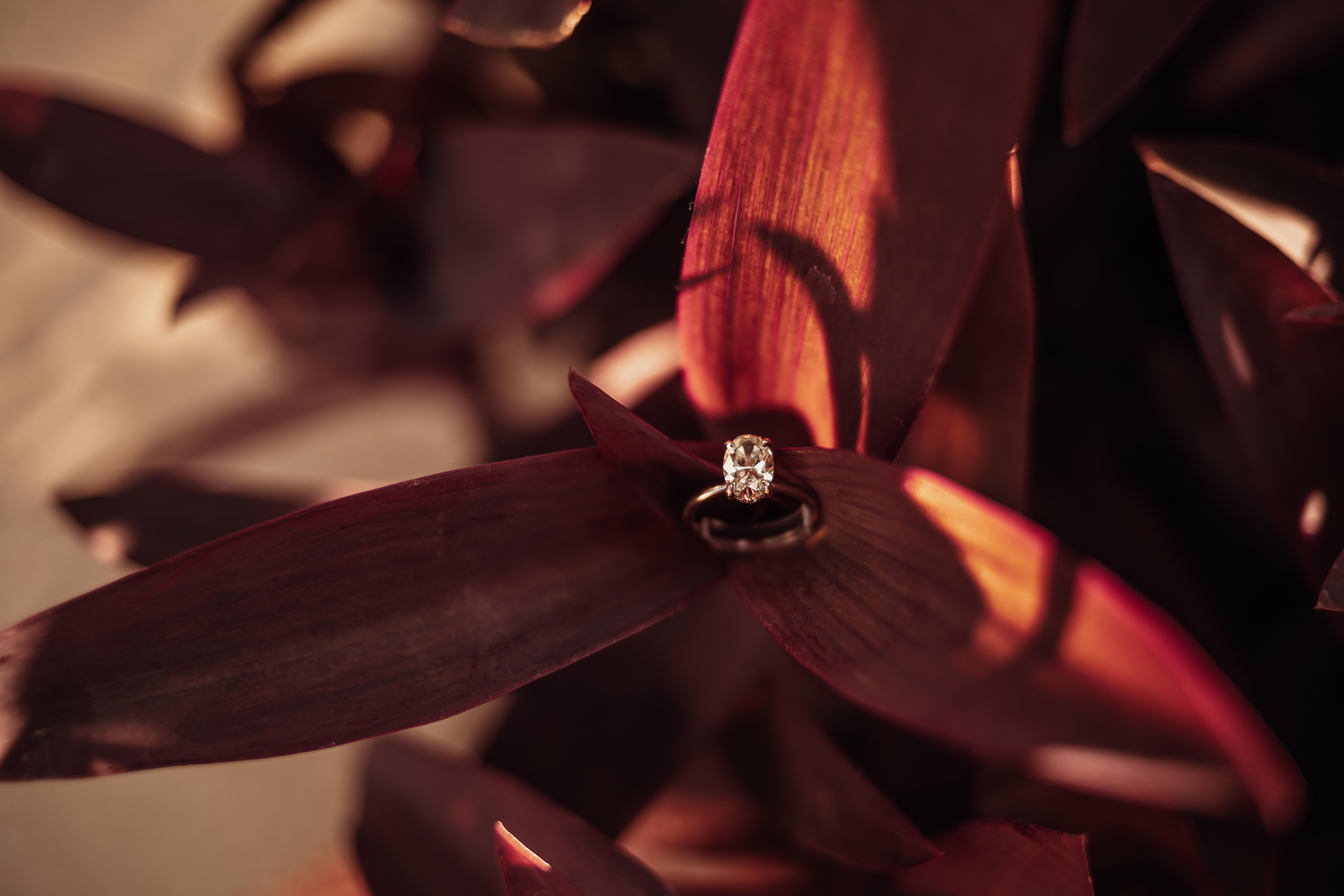The Wedding Website of Stephania Willis and Jeremiah Willis