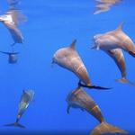 Huatulco Ocean Eco Adventure